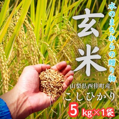 ふるさと納税 西桂町 健康志向の方おすすめ【令和7年産】山梨県西桂町産 富士山麓「水のまち」のこしひかり玄米 5kg×1袋