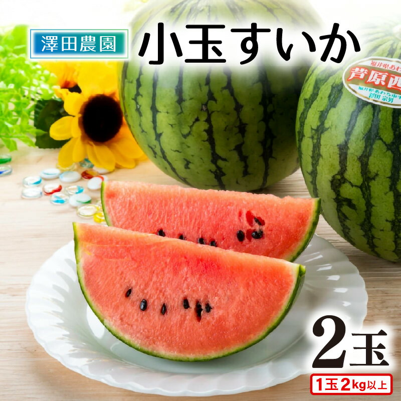 【ふるさと納税】【先行予約】小玉すいか 愛娘 まなむすめ 2kg以上 2玉入 ＜大玉のようなシャリ感！皮際まで抜群に甘い＞ ／ 期間限定 数量限定 果物 フルーツ 西瓜 スイカ 産地直送 ※2025年6月上旬より順次発送