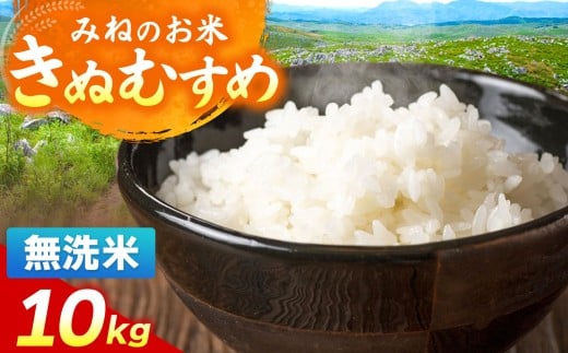 令和7年度産 きぬむすめ 無洗米 10kg ｜   無洗米  米 雑穀 お米 コメ 単一米 きぬむすめ 絹娘  山口 美祢 秋吉台