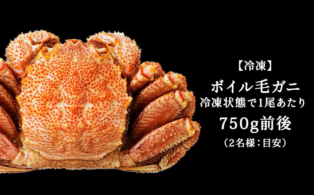 【ボイル済み急速冷凍】身がぎっしりと詰まった毛ガニ750g前後×1尾