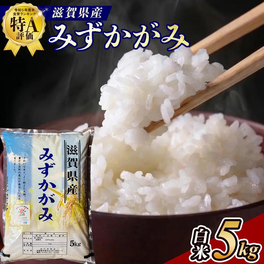 【ふるなびWEEK対象】【令和7年産】近江米みずかがみ白米5kg