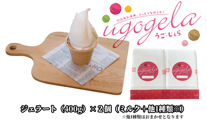 本格ジェラート 羽後町産生乳使用！「うご・じぇら」400g×2個セット（ミルク＋他1種類※おまかせ）〈株式会社おも・しぇ〉 スイーツ 冷たいスイーツ フレッシュミルク 濃厚 後味さっぱり 新鮮 とれた