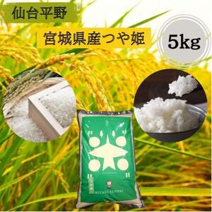 【令和7年産】宮城県産　つや姫 5kg【1675853】