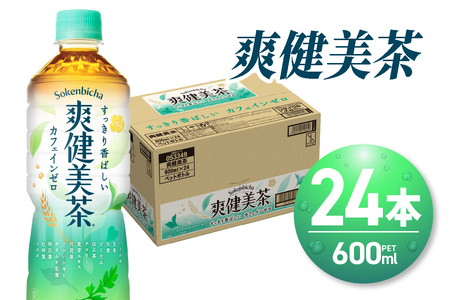 爽健美茶600mlPET×24本