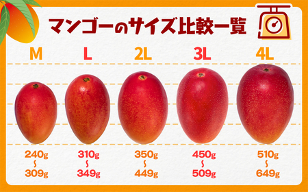 【先行予約】西都市産完熟マンゴー4L×2玉　計1㎏　2024年発送＜1.5-178＞