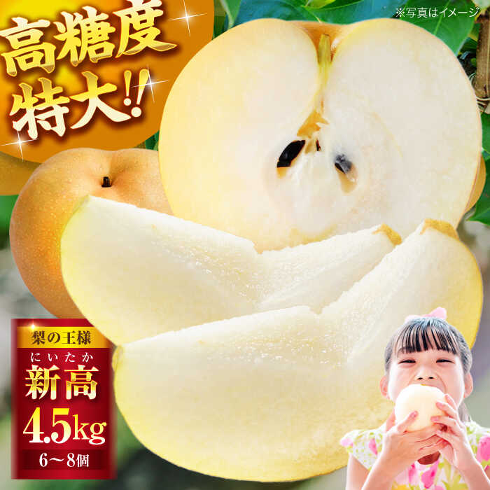【ふるさと納税】【先行予約】【10月上旬から順次発送】「梨の王様」特大新高 梨4.5kg（6個から8個入り） | 人気 おすすめ ランキング おいしい 甘い 大洲市/幸野観光なし園[AGBD002] 20000 20000円 以下
