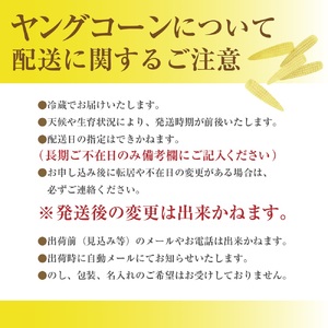市川三郷町大塚産 ドルチェドリームのベビーコーン 2kg（24本以上）【2025年5月中旬から発送】Kai Sweet Farm[5839-2208]