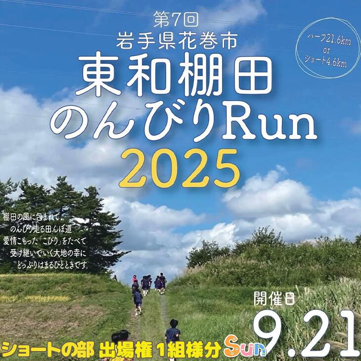 【ふるさと納税】東和棚田のんびりRun（親子でショートの部）出場権（4.6km）1組様分 花巻市 東和町 ご当地 マラソン
