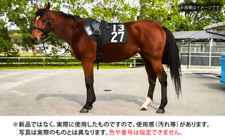 【JRA/日本中央競馬会】数量限定！調教用ゼッケンと騎手サイン色紙 （栗東カラー）　栗東市 / 栗東市役所 [BIAM003]