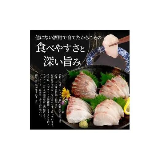 【 シマアジ 】 シマアジ美粕祇万2人前