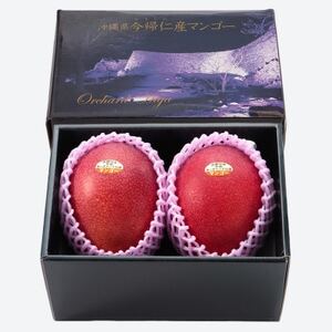 【2026年7月から順次発送・最上級特秀】名匠・比嘉峯夫さんが育てる アップルマンゴー1kg(2玉)【配送不可地域：離島】【1695305】