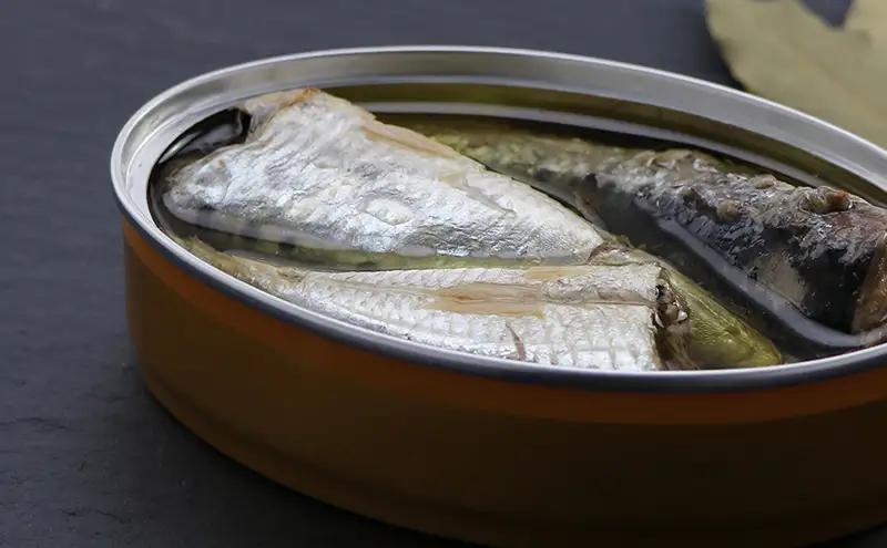 銚子産　オイルサーディン　6缶　缶詰 イワシ いわし 常温保存 防災 備蓄 非常食 保存食 国産 キャンプ パスタ カナッペ サラダ 炒め物 千葉県 千葉市