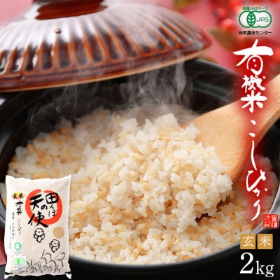 【有機栽培 JAS認証】 越前コシヒカリ 2kg 令和5年産 福井県産【玄米】【1411177】