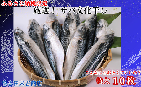 サバ文化干し 特大サイズ 10枚 【 サバ 】
