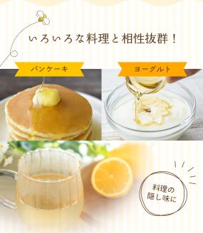 【数量限定】希少ハチミツ 南紀熊野蜜 1kg（1000g瓶×1個） / 古座川流域で採取した日本みつばちのはちみつ 南紀熊野蜜E【tkd204】