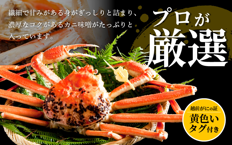 【ANA限定】≪浜茹で≫越前がに 特大サイズ 2杯（生で1杯1kg～1.2kg以上）食べ方しおり付【 雄 ズワイガニ かに カニ 蟹 越前ガニ 姿 ボイル 冷蔵 福井県】【1月発送分】希望日指定可 備