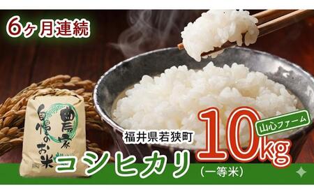 コシヒカリ 6ヶ月連続 令和8年産 一等 10kg コシヒカリ