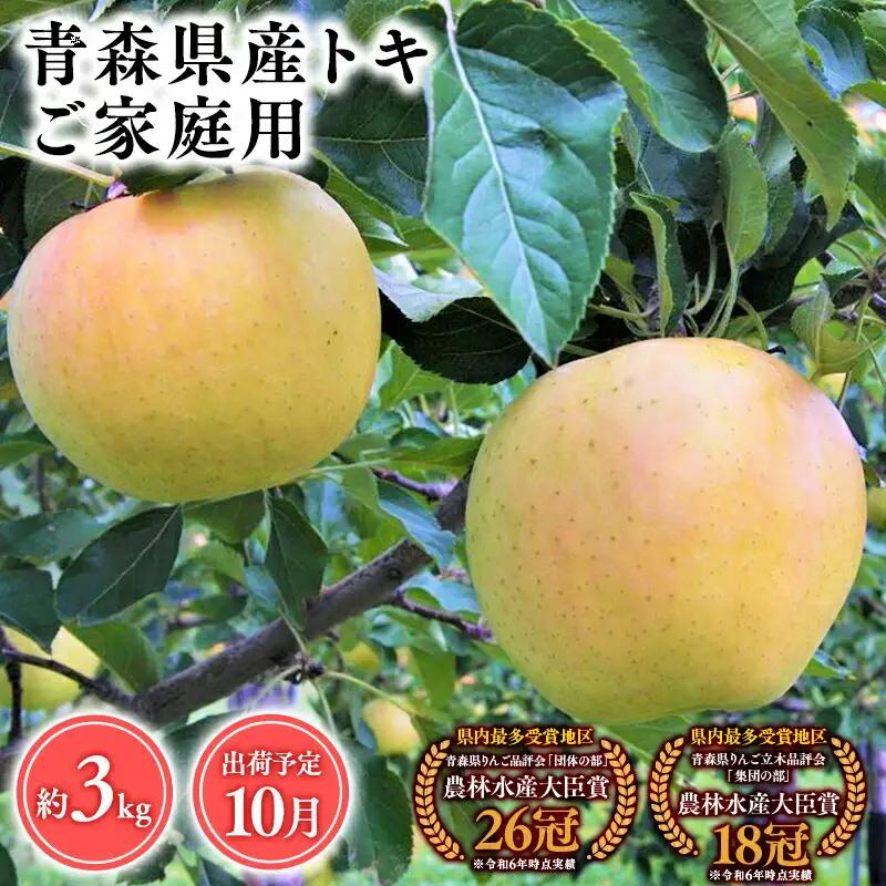 りんご 家庭用 トキ3kg りんご