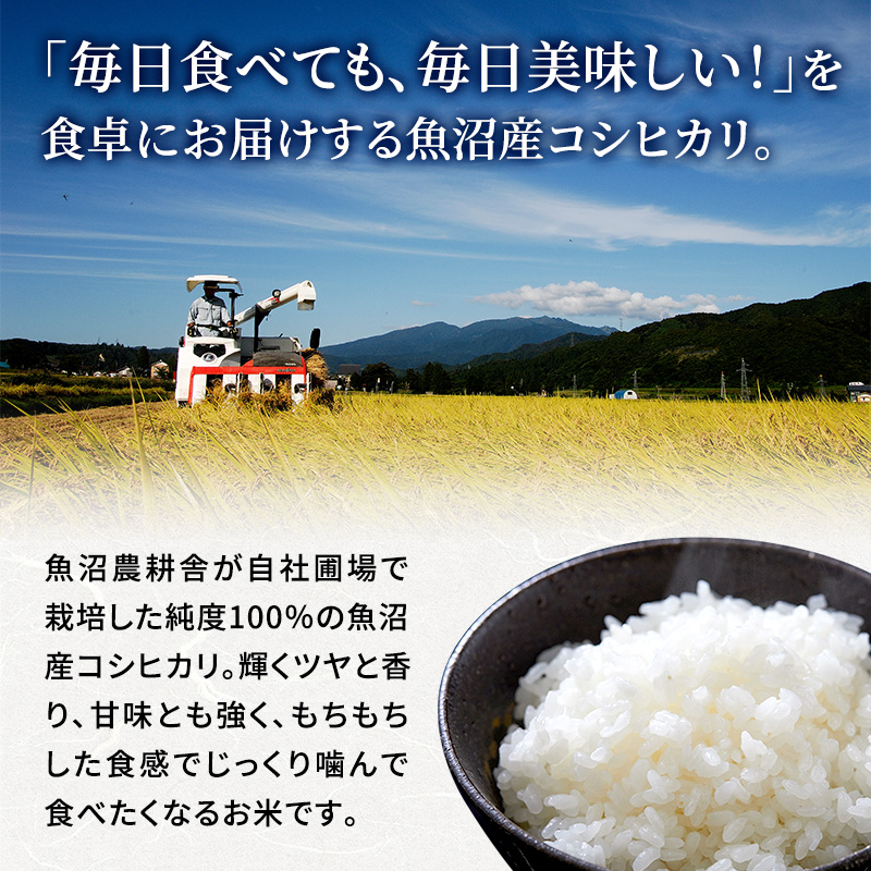 【令和7年産 新米先行受付】米農家自慢の 魚沼産 コシヒカリ （精米）5kg×1袋 お米 ライス ご飯 主食 新潟県産 産地直送 おにぎり お弁当