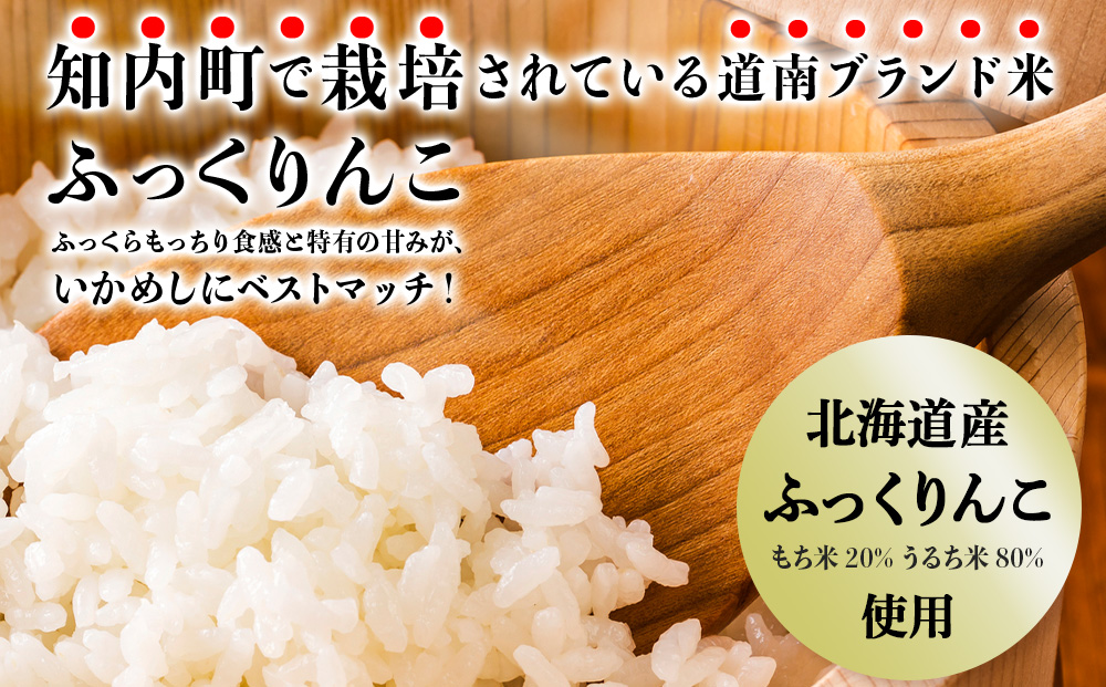 いかめし 2個入5袋 イカ もち米 北海道 ご飯 ふっくりんこ 常温 おかず 惣菜 いか