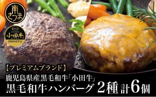 【プレミアムブランド】鹿児島県産黒毛和牛「小田牛」 牛肉100％ 2種類のハンバーグステーキ 計6個（120g×各3個） チーズハンバーグ 牛肉 総菜 おかず レトルト 黒毛和牛 小田畜産 冷凍 ギフト 贈答 南さつま市