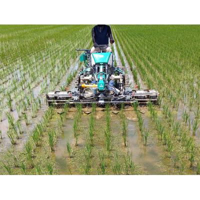 ふるさと納税 一関市 有機栽培コシヒカリ 5kg |  | 03