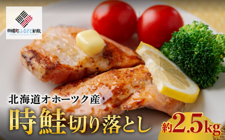 【先行受付】北海道オホーツク産 時鮭切り落とし 約2.5kg（2026年11月上旬より順次発送） AH027