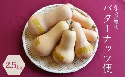 【2025年9月下旬より出荷開始】和らぎ農法　バターナッツ便（約2.5kg） 野菜 かぼちゃ カボチャ 南瓜 バターナッツ スイーツ パウンドケーキ ポタージュ 濃厚 栗東市 滋賀県