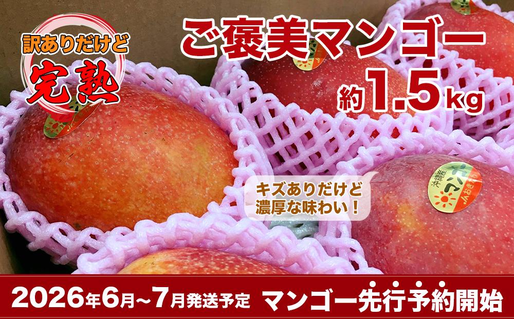 【ふるさと納税】【2026年発送・先行予約】訳あり南城市観光協会イチ推し！ご褒美アップルマンゴー　1.5kg