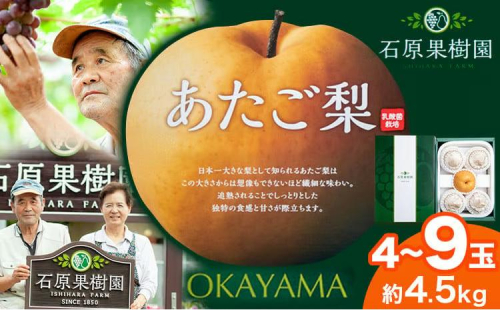 【先行予約】梨 あたご梨 4 ～ 9玉 計4.5kg 特選箱 石原果樹園 《2026年11月中旬-12月下旬頃より発送予定》岡山県 浅口市 フルーツ 果物 ギフト 贈り物 国産 岡山県産 送料無料