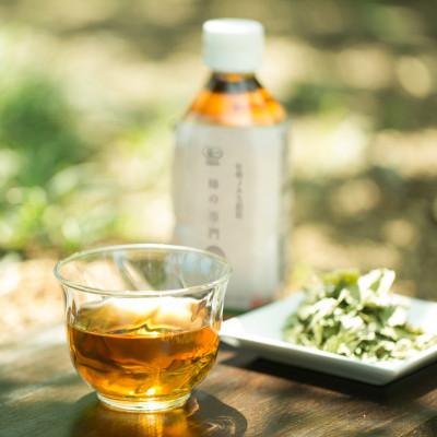 ふるさと納税 天理市 【奈良県天理市】有機JAS認証  国産　柿の葉茶　350ml×24本 |  | 01