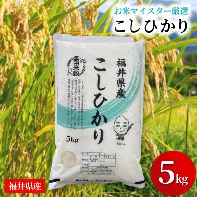 ふるさと納税 鯖江市 福井県産【令和7年産】こしひかり　5kg