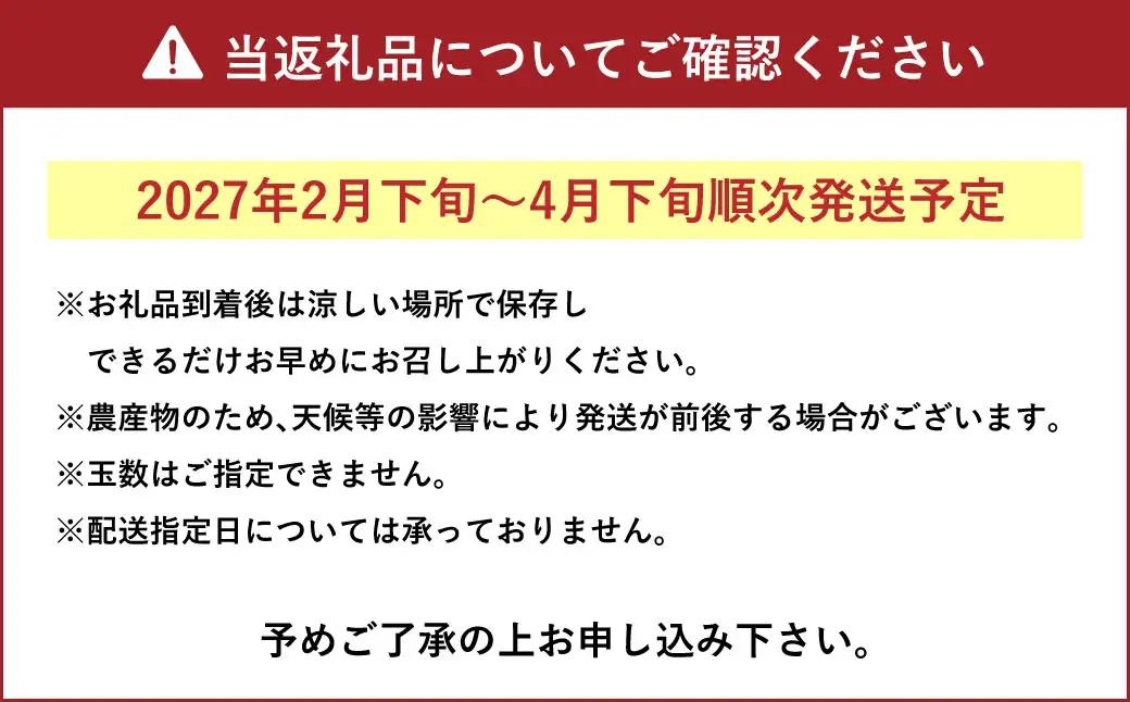 【先行受付】上天草市産 パール柑 約5kg 12玉前後 柑橘 フルーツ 果物 果実 熊本県 上天草市【2027年2月下旬～4月下旬順次発送予定】