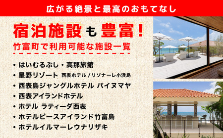 沖縄県竹富町 日本旅行 地域限定旅行クーポン【150,000円分】【チケット 旅行 宿泊券 ホテル 観光 旅行 旅行券 交通費 体験  宿泊 夏休み 冬休み 家族旅行 ひとり カップル 夫婦 親子 ト