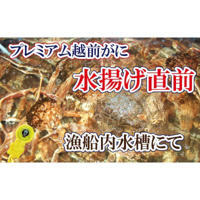 ふるさと納税 越前町 桐箱入り!三番蟹　納得のプレミアム越前がに × 1杯 ≪生≫【2・3月発送分】 |  | 01