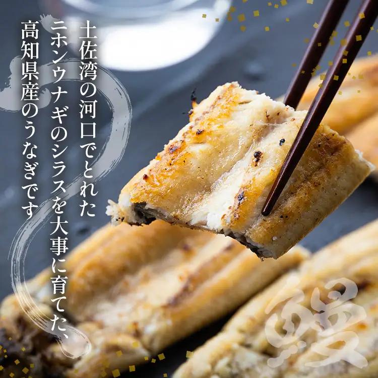 【10日程度で発送】unagi白焼き120～130ｇ 2尾 蒲焼きのタレ2袋 エコ包装 yw-0126