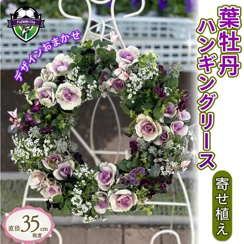 【 先行予約 ：2026年12月発送 】花 葉牡丹 リース 寄せ植え お正月 オンライン決済限定 花 花