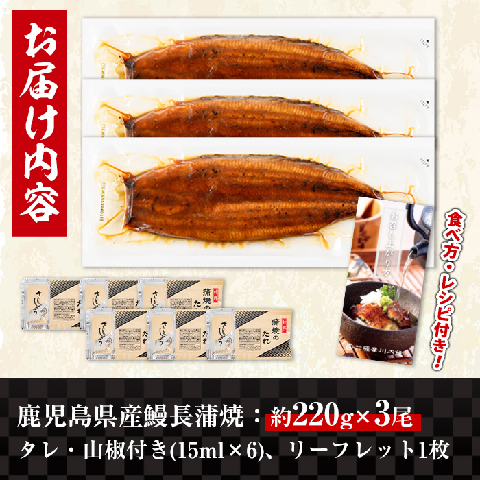 i1078-B ＼特大サイズ／鹿児島県産 うなぎ蒲焼 3尾（約220g×3・計約660g） たれ 山椒付きうなぎ 鰻 ウナギ 特大 特大サイズ 約220g 蒲焼き 国産 鹿児島県産 焼きたて 生産量日