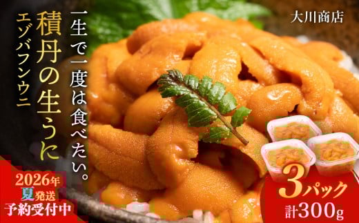 【2026年夏発送分】バフンウニ100g×3パック