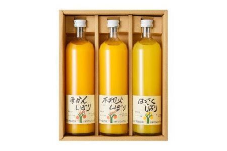 伊藤農園 100％ピュアジュース 750ml×3本ギフトセット（B483-3）