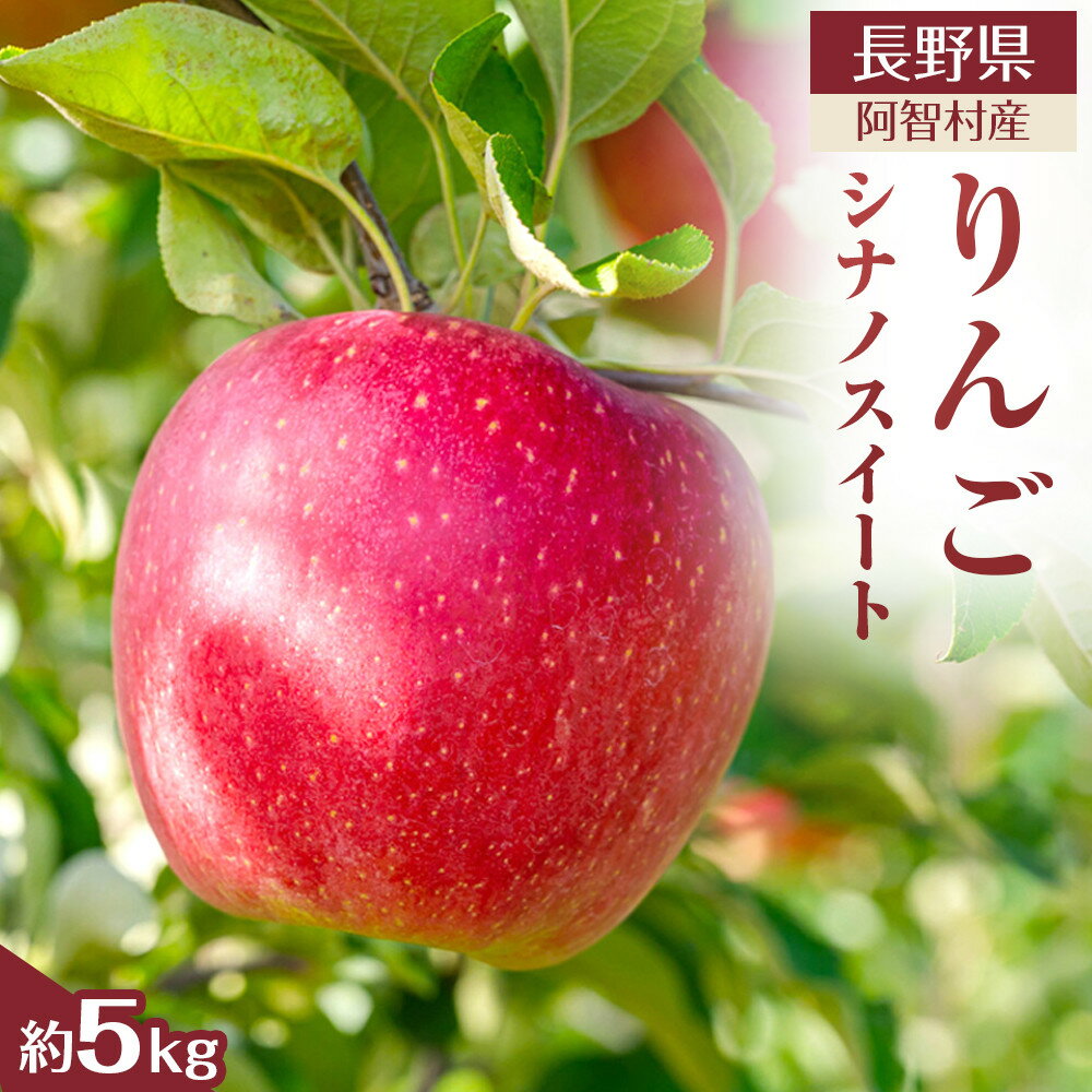【ふるさと納税】【先行予約】＜令和8年10月中旬～順次発送＞南信州阿智村　りんご（シナノスイート）約5kg｜ 果物 フルーツ 林檎 リンゴ 信州 長野