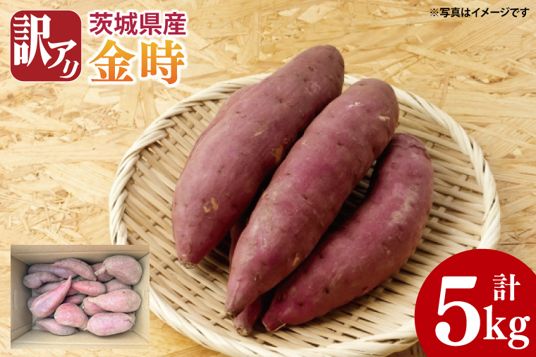 【2025年11月より順次発送】【数量限定】訳アリ 茨城県産金時 約5kg｜金時 さつまいも 芋 サツマイモ 金時 訳あり わけあり 先行予約 茨城県 取手市（AS010）