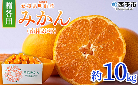 ＜みかん（南柑20号）贈答用 約10kg＞ 果物 くだもの フルーツ ミカン 柑橘 なんかん20ごう ナンカン20ゴウ 温州みかん うんしゅうみかん 贈答 ギフト プレゼント 特産品 株式会社笑丸 愛媛県 西予市【常温】『2025年12月上旬～2026年1月上旬迄に順次出荷予定』AAN0051