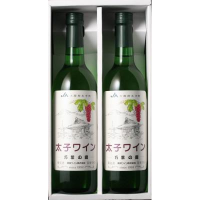 ふるさと納税 太子町 太子ワイン2本セット