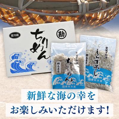 ふるさと納税 西予市 <ちりめん&しらす干し お試し食べ比べセット 合計410g> ちりめんしらす干し |  | 02