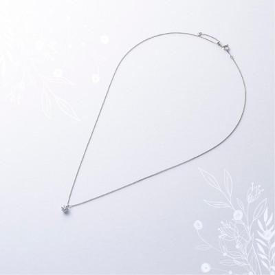 ふるさと納税 山梨市 プラチナ最上等級【Dカラー】大粒ダイヤモンドネックレス 0.3ct UP 爪留め |  | 01