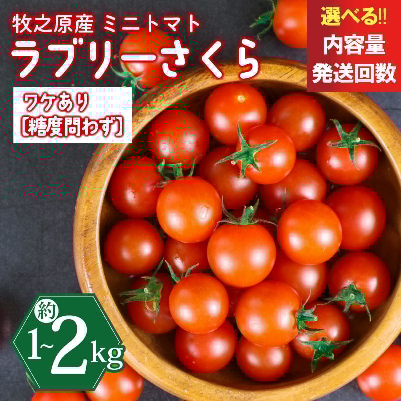 
            訳あり ミニ トマト フルーツ トマト ラブリーさくら うまたま 選べる 容量 配送 回数 500g から お届け 可能 計 1kg ~ 2kg 国産 野菜 フルーツ 甘い 別送 静岡県 牧之原市 山本農園
          