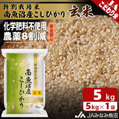 ふるさと納税 南魚沼市 【令和7年産《新米》】限られた匠がつくる「特別栽培米南魚沼産こしひかり8割減」玄米5kg