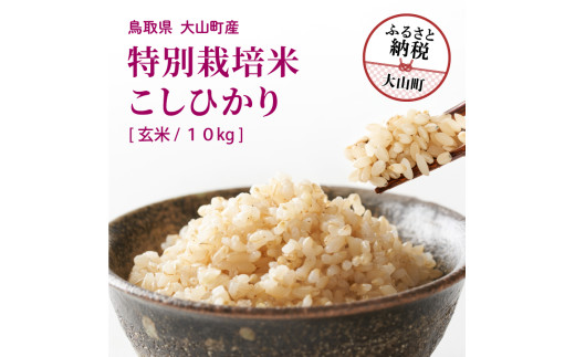 MR-14  減農薬・減化学肥料 特別栽培米こしひかり 10kg（玄米）