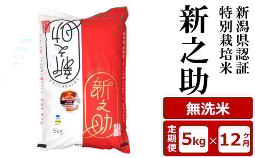 【12ヶ月定期便】新潟県認証特別栽培米 新之助 無洗米 5kg×12回（計 60kg）アグリーホンマ[Y0375]